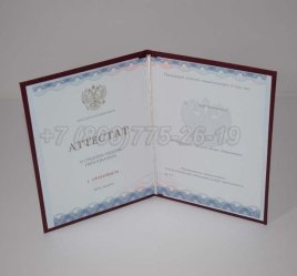 Аттестат За 11 Класс 2023г Золото ГОЗНАК в Волгограде